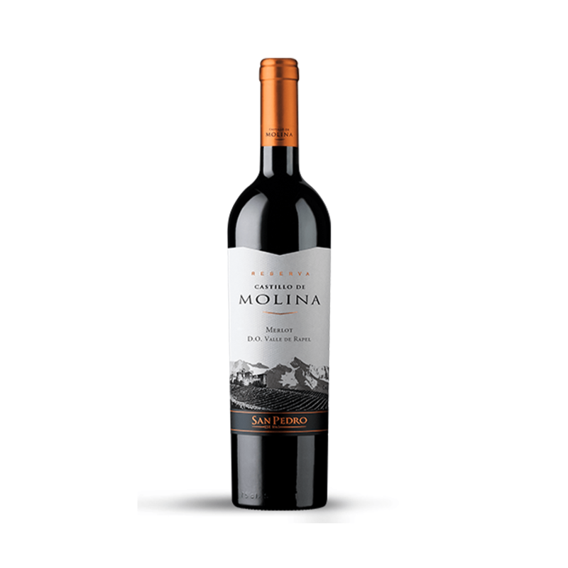 CASTILLO MOLINA MERLOT 750 CC.