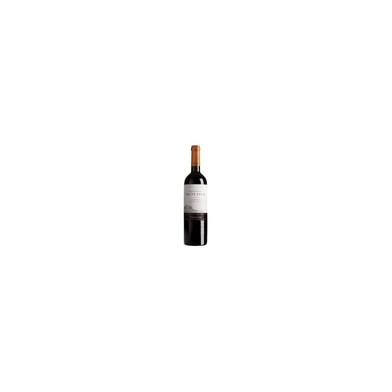 CASTILLO MOLINA CARMENERE 750 CC.