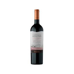 CASTILLO MOLINA CABERNET SAUV. 750 CC.