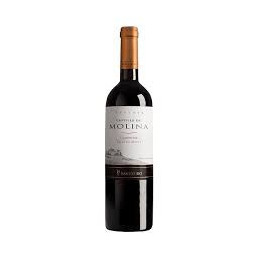 CASTILLO MOLINA CARMENERE 750 CC.