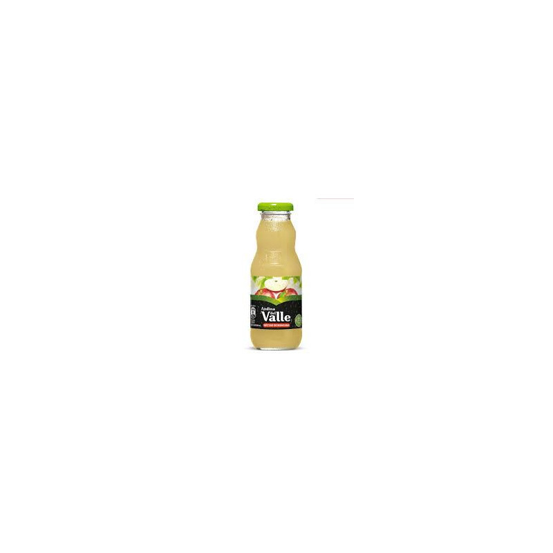 NECTAR ANDINA MANZANA 6 X 300 CC.