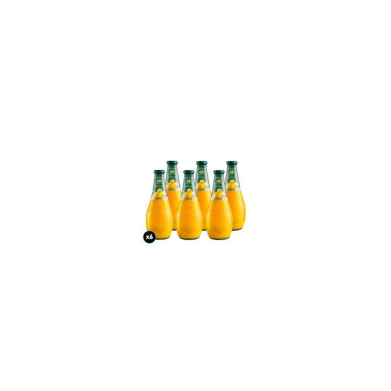 NECTAR WATTS SELECC MANGO-MARACUYA 6 X 1LT.