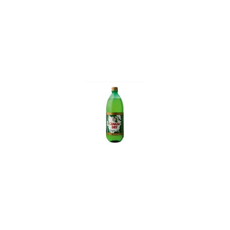 GINGER ALE 6 X 2,5 RET
