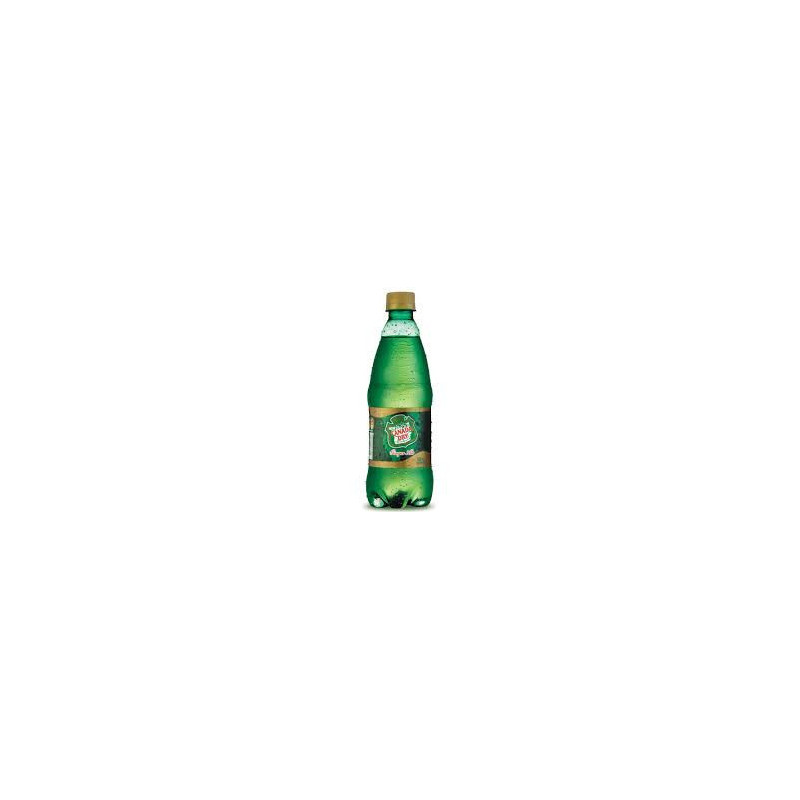 GINGER ALE 12 X 600 CC. DESECH.